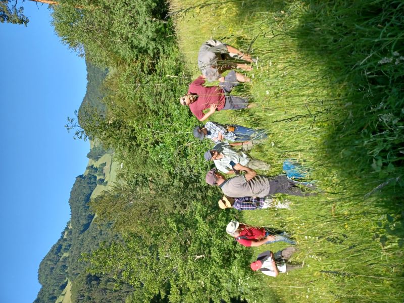 Botanische Exkursion Engi 2023.jpg