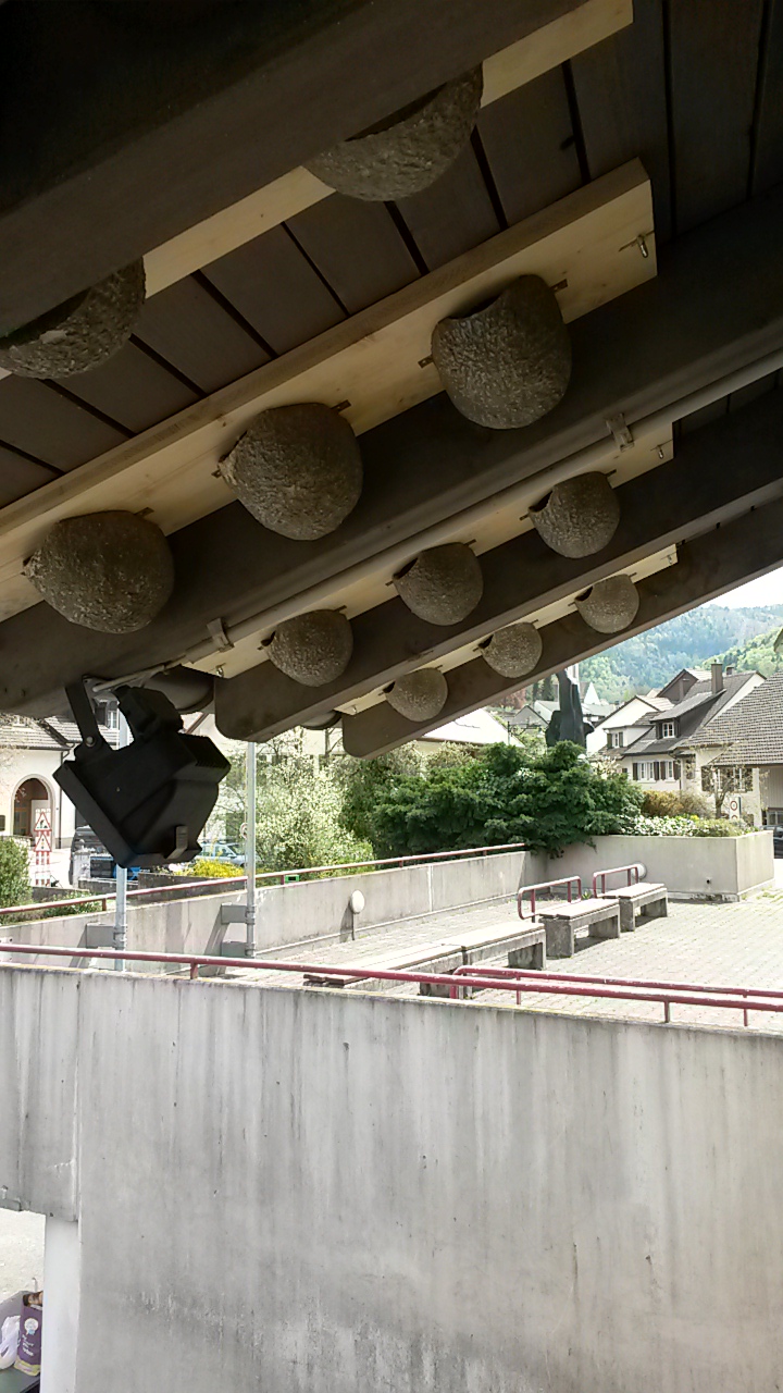 Mehlschwalbennester Feuerwehrmagazin